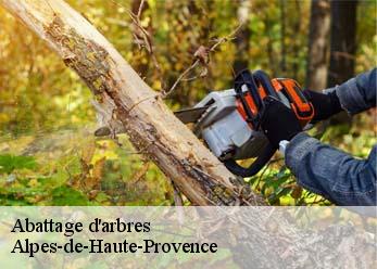 Abattage d'arbres Alpes-de-Haute-Provence 