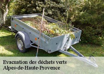 Evacuation des déchets verts Alpes-de-Haute-Provence 