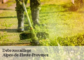 Debroussaillage Alpes-de-Haute-Provence