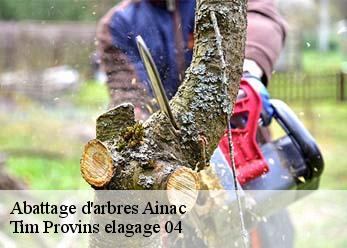 Abattage d'arbres  ainac-04000 Tim Provins elagage 04