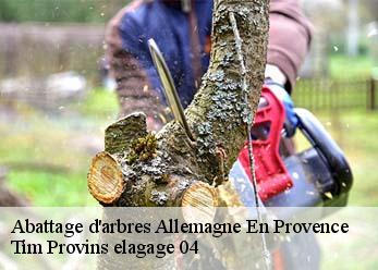 Abattage d'arbres allemagne-en-provence-04550 Tim Provins elagage 04