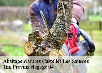 Abattage d'arbres  castellet-les-sausses-04320 Tim Provins elagage 04