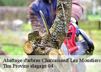 Abattage d'arbres  chateauneuf-les-moustiers-04120 Tim Provins elagage 04