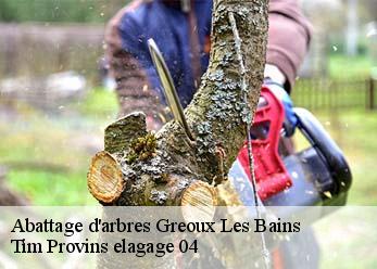 Abattage d'arbres greoux-les-bains-04800 Tim Provins elagage 04