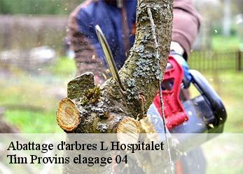 Abattage d'arbres  l-hospitalet-04150 Tim Provins elagage 04