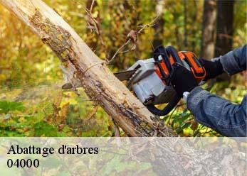 Abattage d'arbres 04000