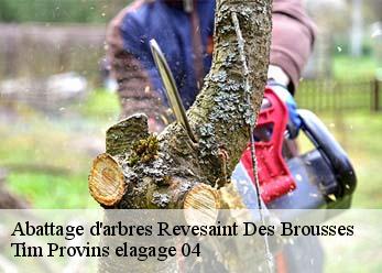 Abattage d'arbres  revesaint-des-brousses-04150 Tim Provins elagage 04