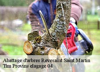 Abattage d'arbres  revesaint-saint-martin-04230 Tim Provins elagage 04