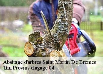 Abattage d'arbres  saint-martin-de-bromes-04800 Tim Provins elagage 04