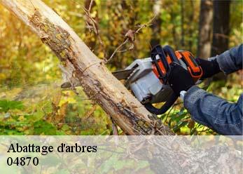 Abattage d'arbres 04870