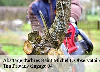 Abattage d'arbres  saint-michel-l-observatoire-04870 Tim Provins elagage 04