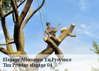 Elagage  allemagne-en-provence-04550 Tim Provins elagage 04
