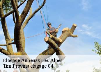 Elagage  aubenas-les-alpes-04110 Tim Provins elagage 04