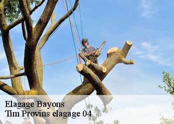 Elagage  bayons-04250 Tim Provins elagage 04