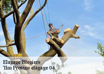 Elagage  blegiers-04420 Tim Provins elagage 04