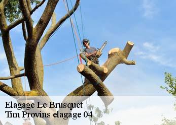 Elagage  le-brusquet-04420 Tim Provins elagage 04