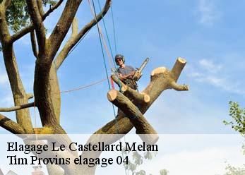 Elagage  le-castellard-melan-04380 Tim Provins elagage 04