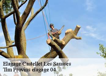 Elagage  castellet-les-sausses-04320 Tim Provins elagage 04