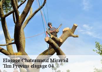 Elagage  chateauneuf-miravail-04200 Tim Provins elagage 04