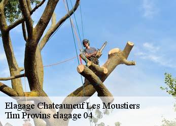 Elagage chateauneuf-les-moustiers-04120 Tim Provins elagage 04