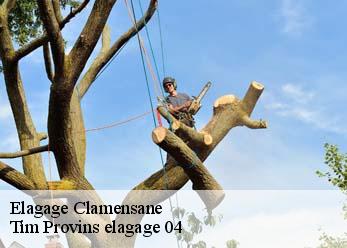 Elagage  clamensane-04250 Tim Provins elagage 04