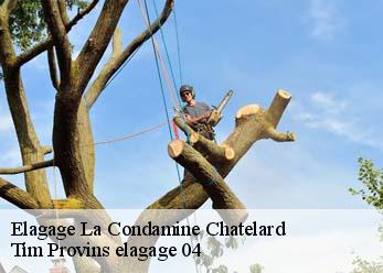 Elagage  la-condamine-chatelard-04530 Tim Provins elagage 04