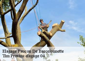 Elagage  faucon-de-barcelonnette-04400 Tim Provins elagage 04