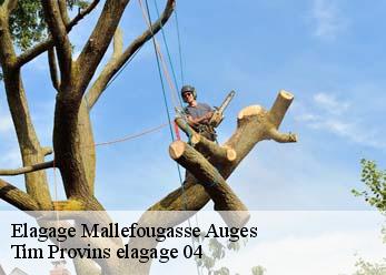 Elagage  mallefougasse-auges-04230 Tim Provins elagage 04