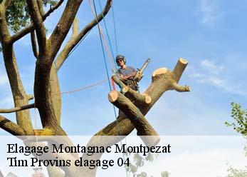 Elagage  montagnac-montpezat-04500 Tim Provins elagage 04