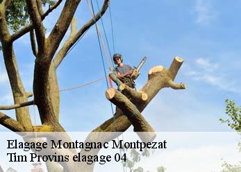 Elagage montagnac-montpezat-04500 Tim Provins elagage 04