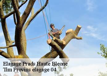 Elagage  prads-haute-bleone-04420 Tim Provins elagage 04