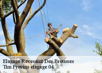 Elagage  revesaint-des-brousses-04150 Tim Provins elagage 04