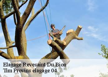 Elagage  revesaint-du-bion-04150 Tim Provins elagage 04