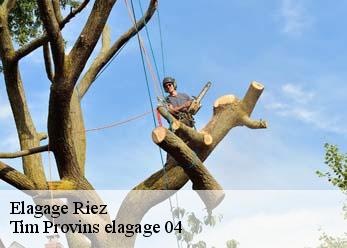 Elagage riez-04500 Tim Provins elagage 04