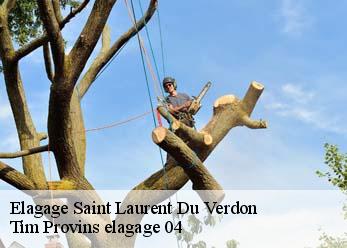 Elagage  saint-laurent-du-verdon-04500 Tim Provins elagage 04