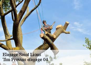 Elagage  saint-lions-04330 Tim Provins elagage 04