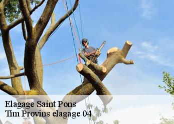 Elagage saint-pons-04400 Tim Provins elagage 04