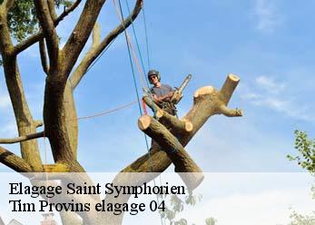 Elagage  saint-symphorien-04200 Tim Provins elagage 04