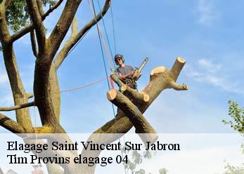 Elagage  saint-vincent-sur-jabron-04200 Tim Provins elagage 04