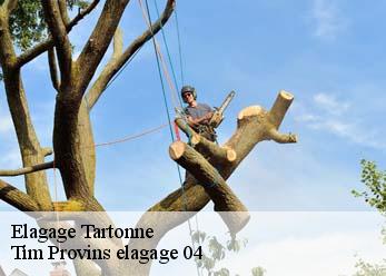 Elagage  tartonne-04330 Tim Provins elagage 04
