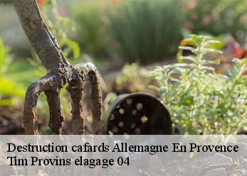 Destruction cafards  allemagne-en-provence-04550 Tim Provins elagage 04