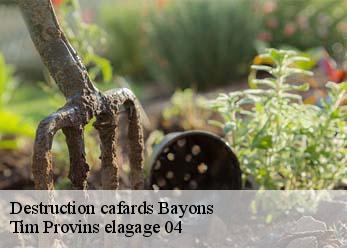 Destruction cafards  bayons-04250 Tim Provins elagage 04