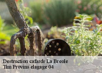 Destruction cafards  la-breole-04340 Tim Provins elagage 04