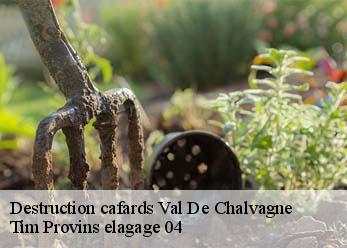 Destruction cafards val-de-chalvagne-04320 Tim Provins elagage 04