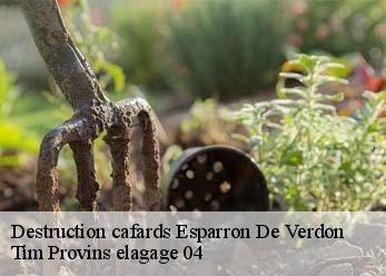Destruction cafards esparron-de-verdon-04550 Tim Provins elagage 04