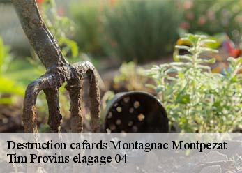 Destruction cafards montagnac-montpezat-04500 Tim Provins elagage 04