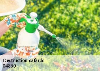 Destruction cafards 04860