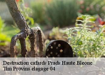 Destruction cafards prads-haute-bleone-04420 Tim Provins elagage 04