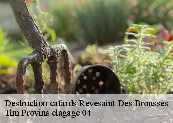 Destruction cafards  revesaint-des-brousses-04150 Tim Provins elagage 04