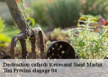 Destruction cafards  revesaint-saint-martin-04230 Tim Provins elagage 04
